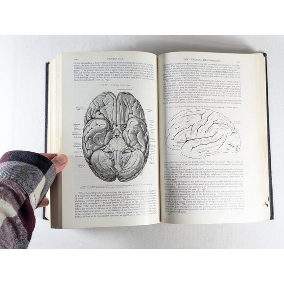 Vintage Grays Anatomy hardcover book 1958, 32nd Centenary Edition, Medical Human - Picture 8 of 10